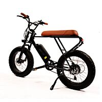 20 inch fat tire electric bike with 48V 500W motor 
