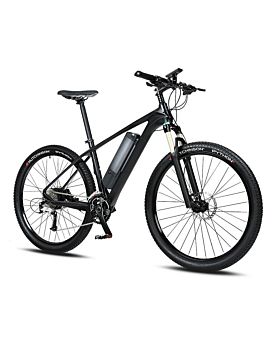 Carbon Fiber Frame 250W Electric Mountain Bike ELECYCLE GS