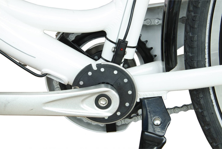 ebike pedal assist