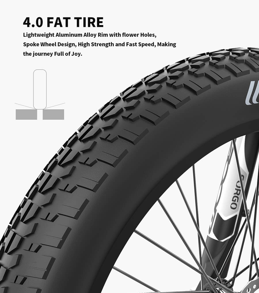 48V 750W fat tire electric bike hotsale ebike  best ebike