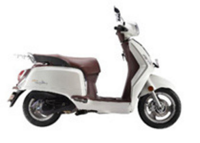 48V 800W 1200W electric scooter