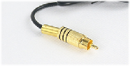 rca male connector